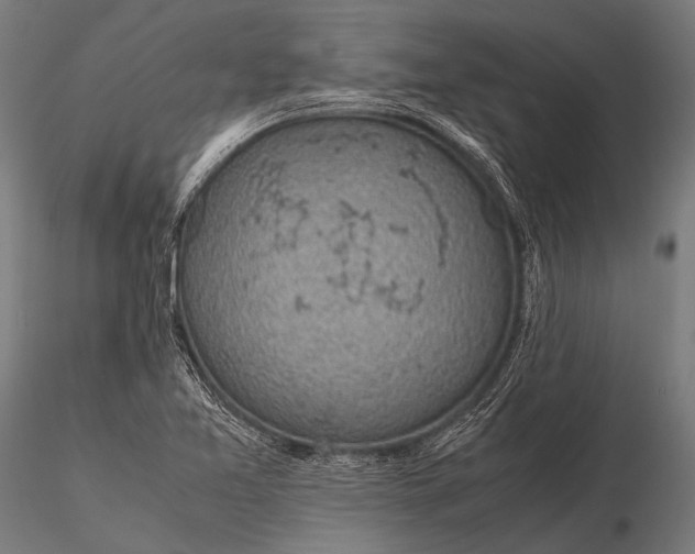 X0000116101365200912071249