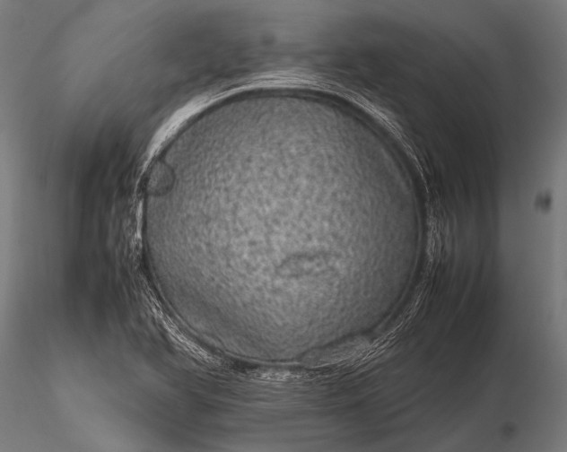 X0000116101366200912071249