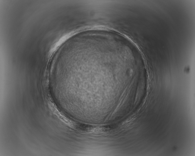 X0000116101367200912071249