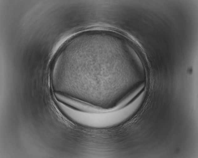 X0000116101368200912071249