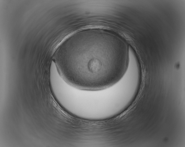 X0000116101369200912071249