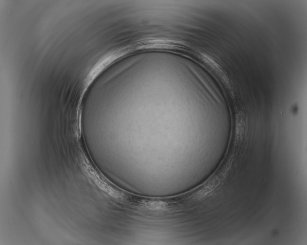 X0000116101370200912071249