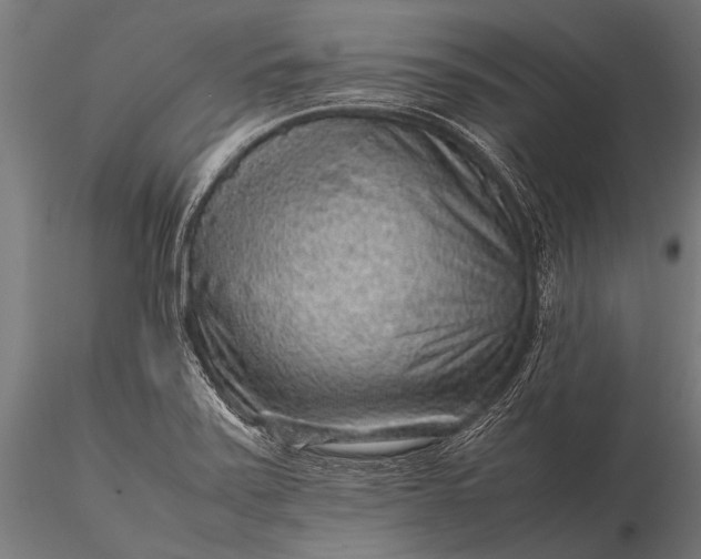 X0000116101371200912071249