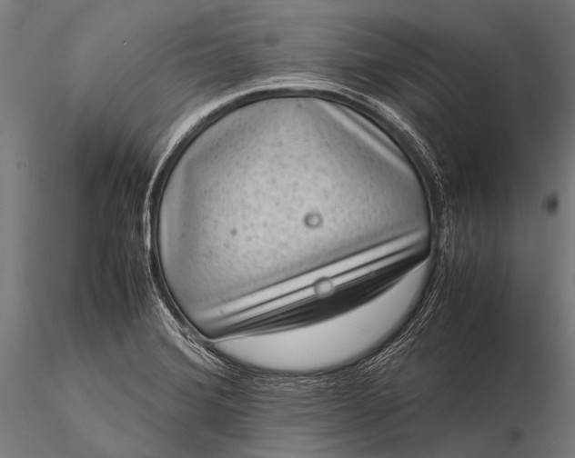 X0000116101372200912071249