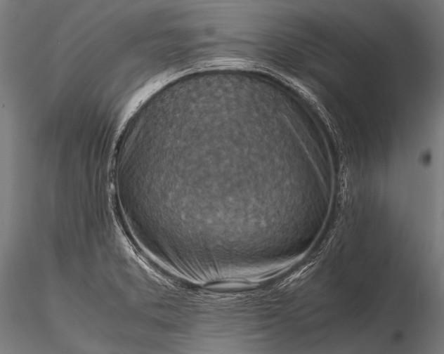 X0000116101373200912071249