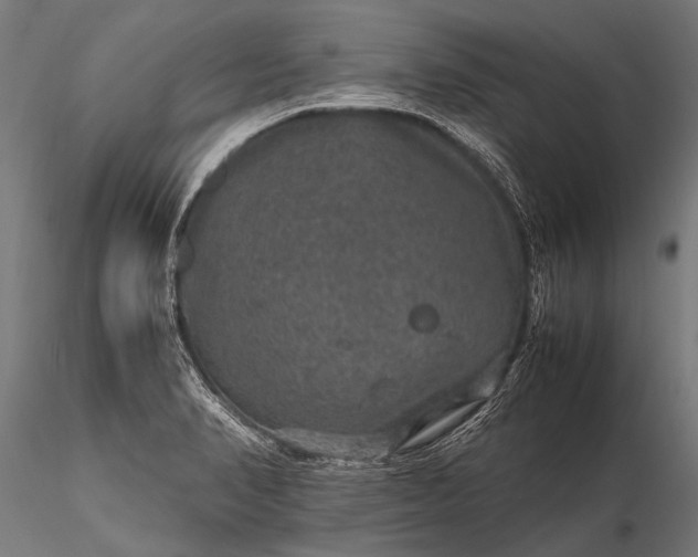 X0000116101374200912071249