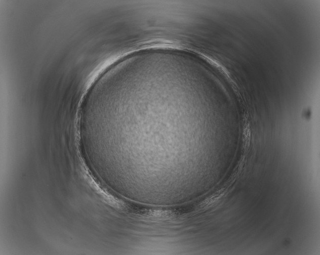 X0000116101375200912071249