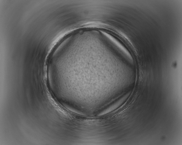 X0000116101376200912071249