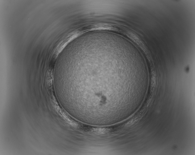 X0000116101377200912071249