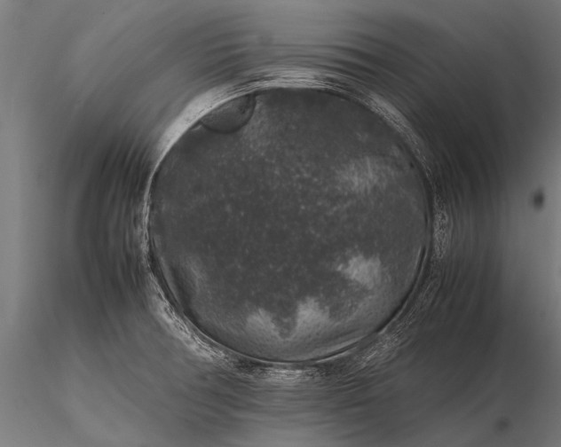 X0000116101378200912071249