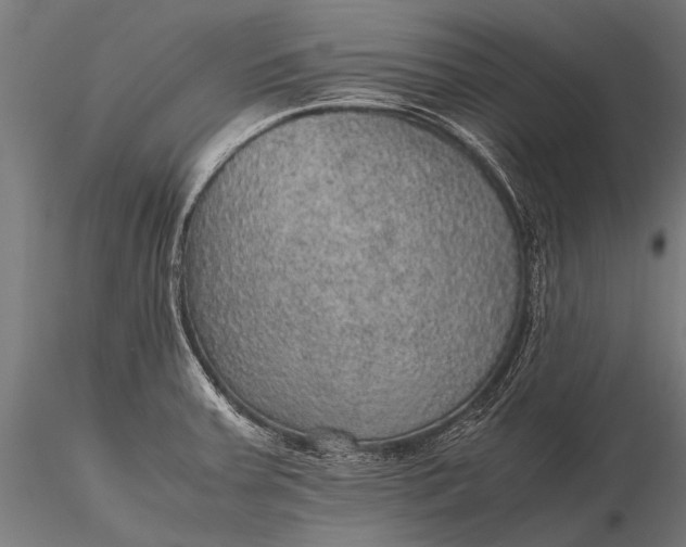 X0000116101379200912071249