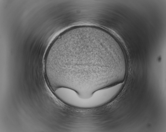 X0000116101380200912071249