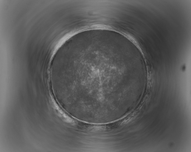 X0000116101381200912071249