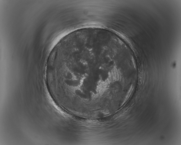 X0000116101383200912071249