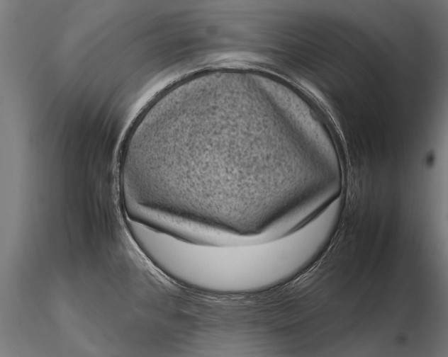 X0000116101384200912071249