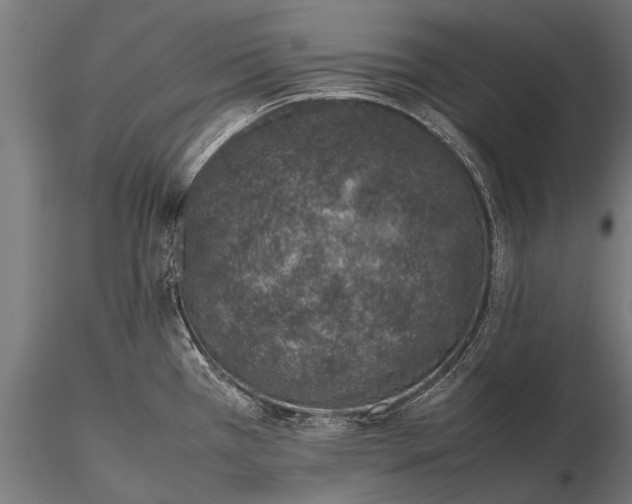 X0000116101385200912071249