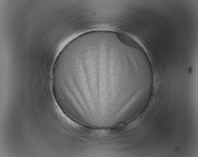 X0000116101387200912071249