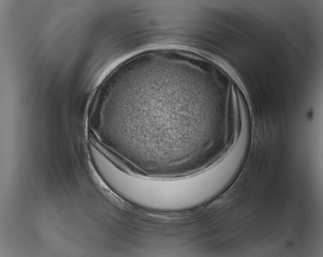 X0000116101388200912071249