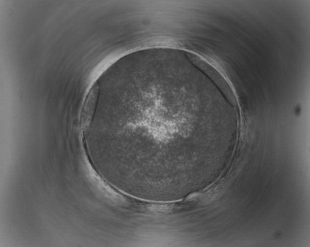 X0000116101389200912071249