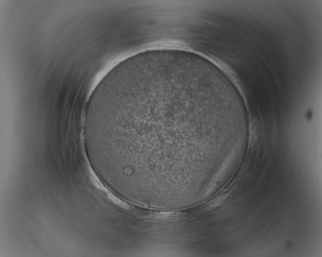 X0000116101390200912071249