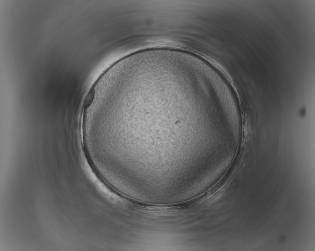 X0000116101391200912071249