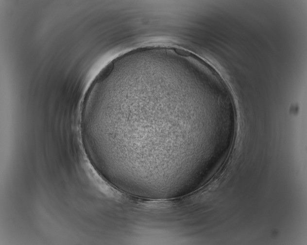 X0000116101392200912071249