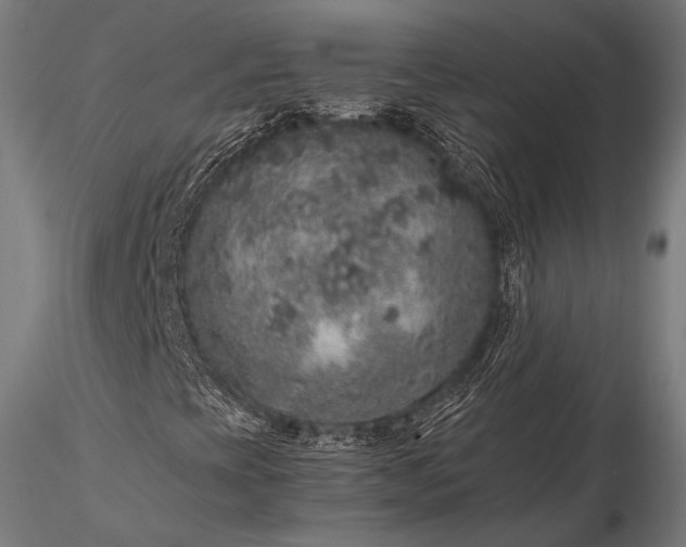 X0000116101393200912071248