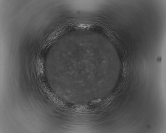 X0000116101394200912071248