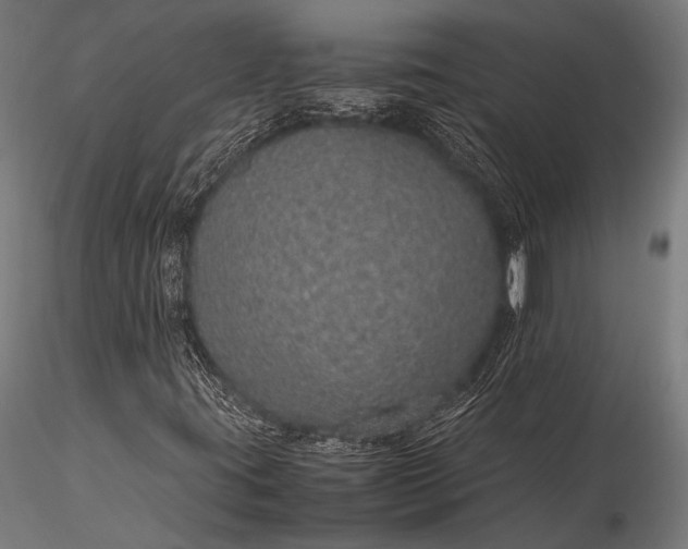 X0000116101395200912071248