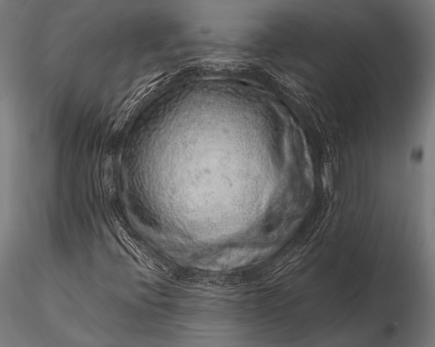 X0000116101396200912071248