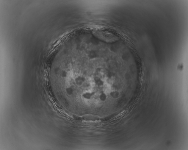 X0000116101397200912071248