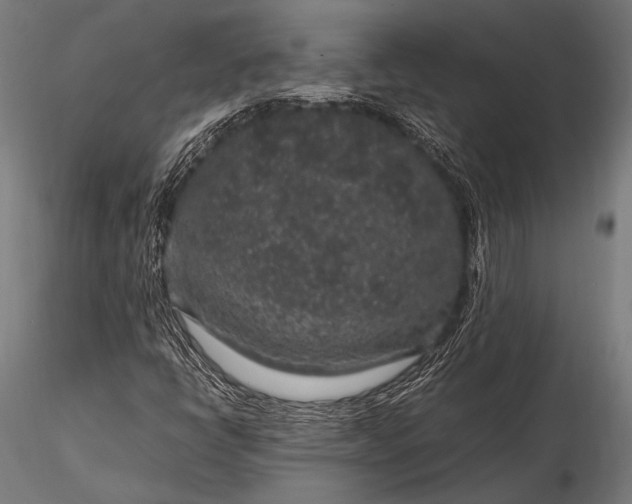 X0000116101398200912071248