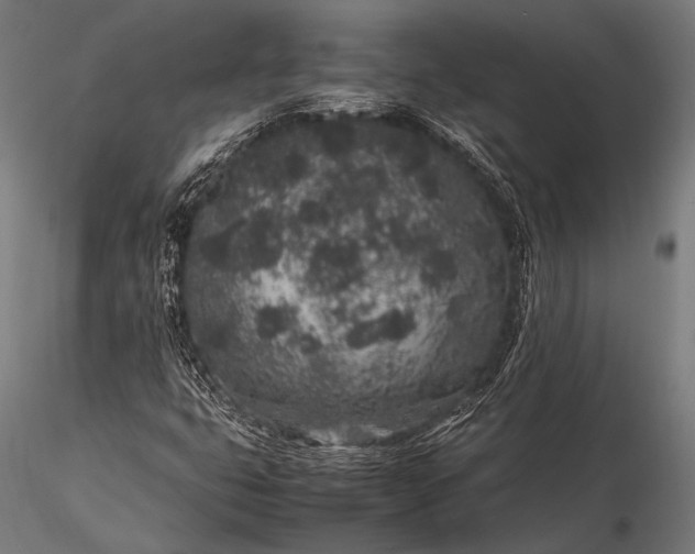 X0000116101399200912071248