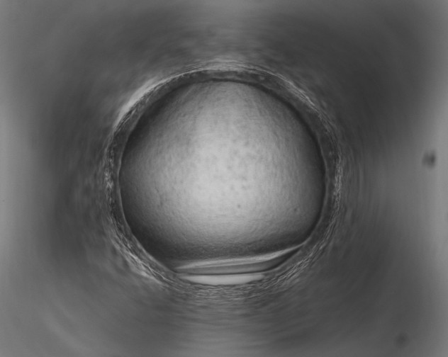 X0000116101400200912071248