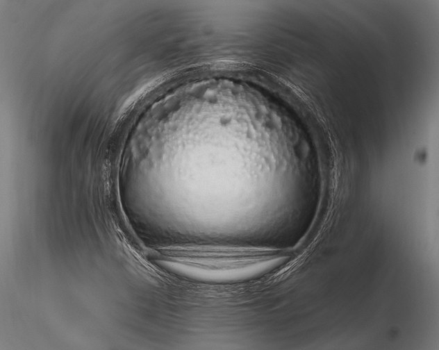 X0000116101402200912071248