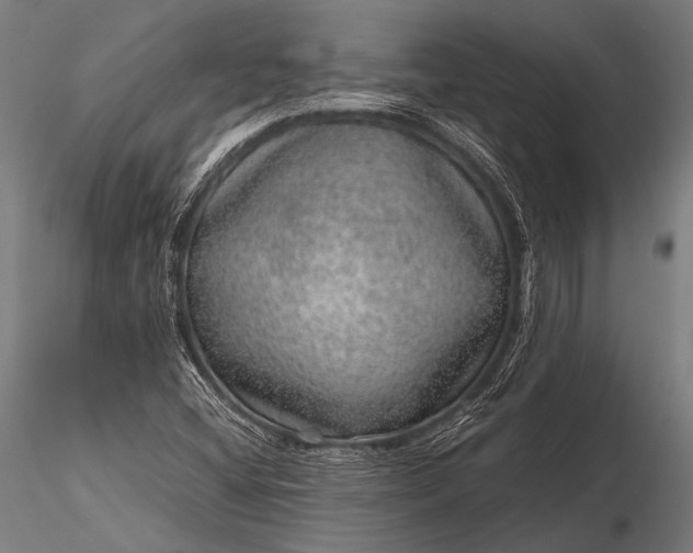 X0000116101404200912071248