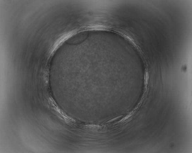 X0000116101405200912071248