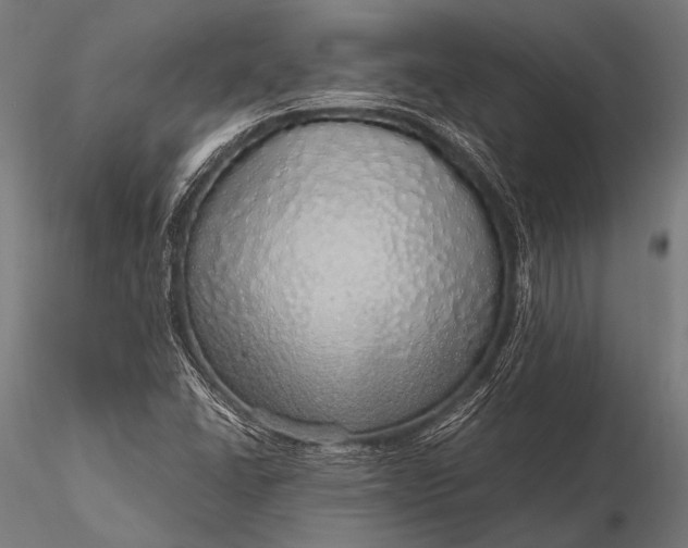 X0000116101406200912071248