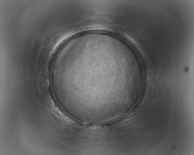 X0000116101408200912071248