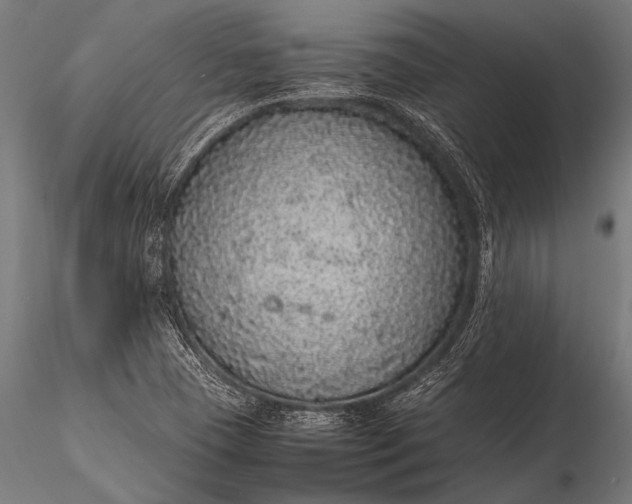 X0000116101409200912071248