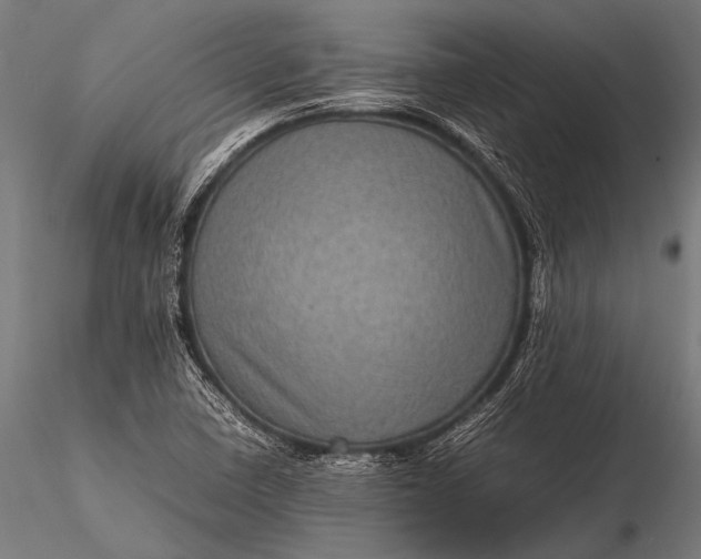 X0000116101410200912071248