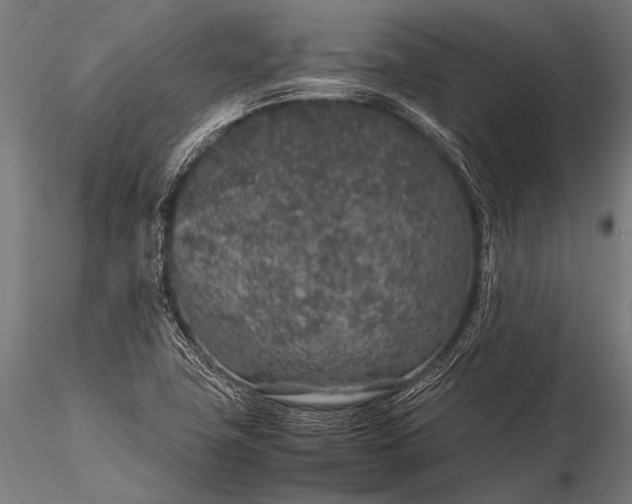 X0000116101411200912071248