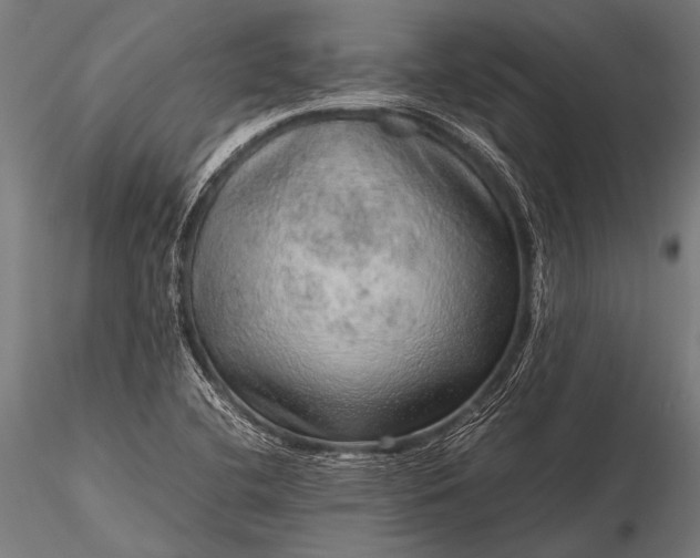 X0000116101412200912071248