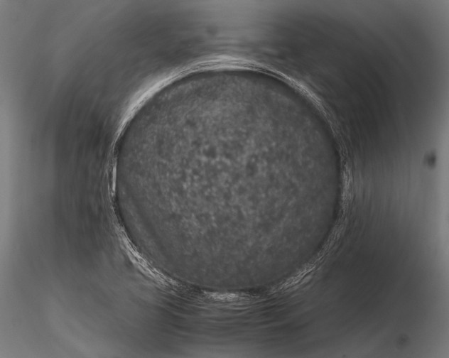 X0000116101413200912071248