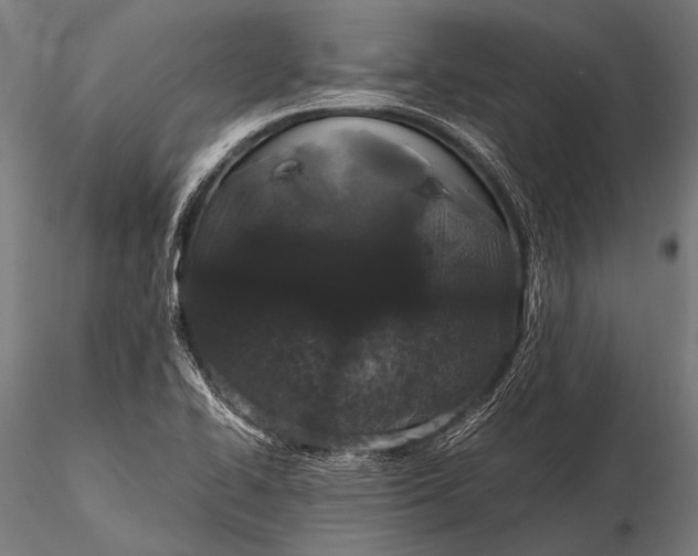 X0000116101414200912071248