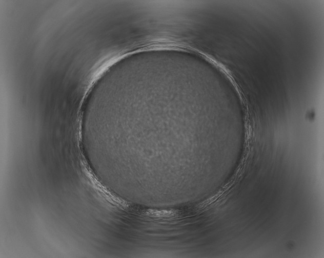 X0000116101415200912071248