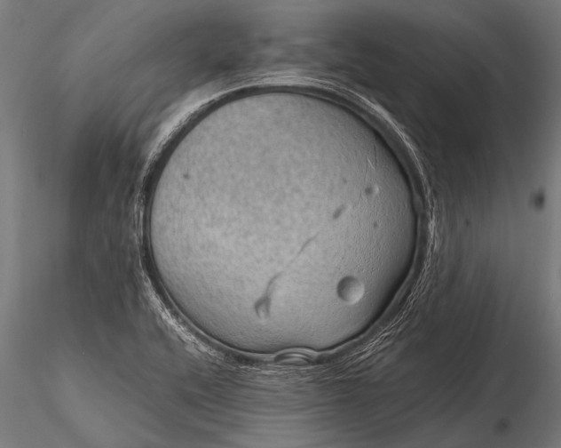 X0000116101416200912071248