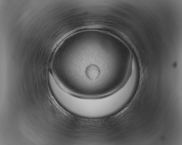 X0000116101417200912071248