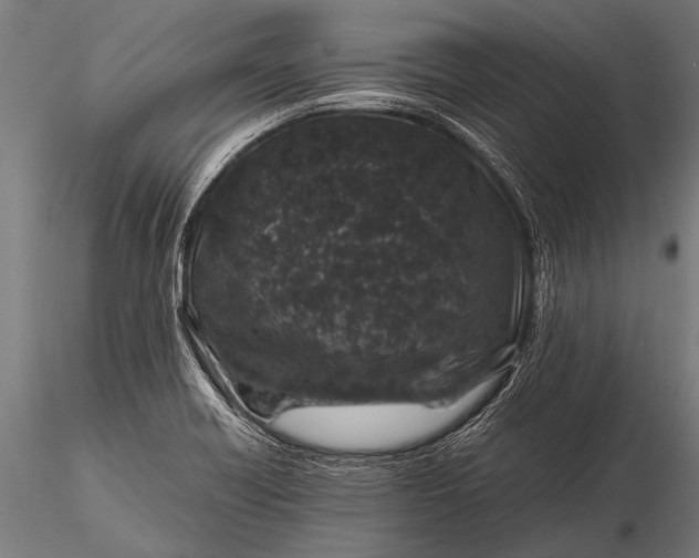 X0000116101418200912071248