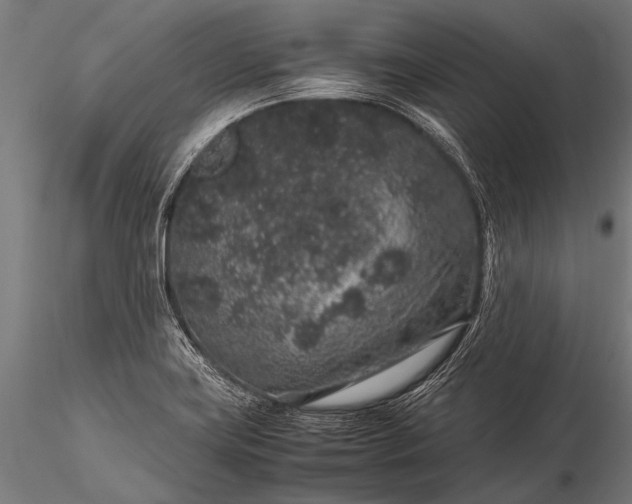 X0000116101419200912071248